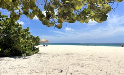 Eagle Beach: Sun, Sand, Serenity
